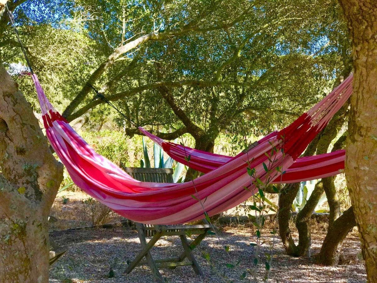 Finca Meerlust - Las Ballenas Los Caños de Meca Exterior foto
