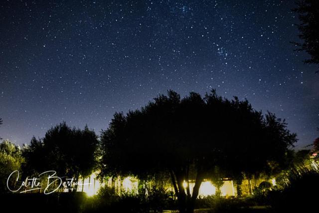 Finca Meerlust - Las Ballenas Los Caños de Meca Exterior foto