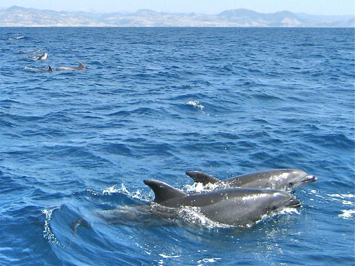 Finca Meerlust - Las Ballenas Los Caños de Meca Exterior foto